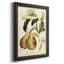 Printed Tuscan Fruits IV - Reproduction encadrée sur toile-749992285