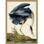 Oiseau 1 Wall Art & Signage