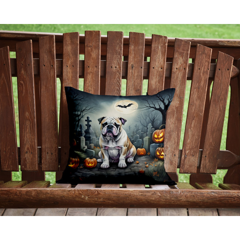  Housse et insert de coussin décoratif en polyester, 14 po x 14 po