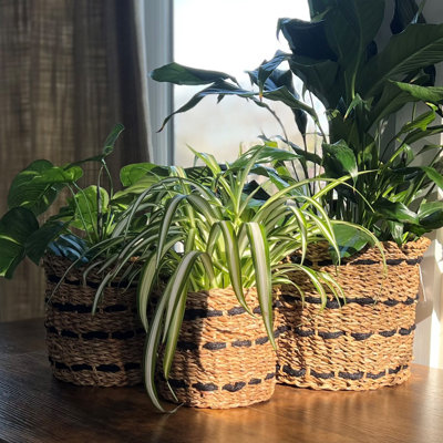 Seagrass And Jute Wicker Baskets