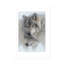 Wild Devotion - Gray Wolves-956310150-956310175