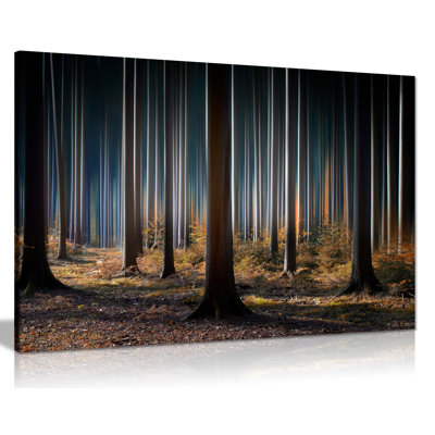 Illuminating Tree Trunksin a Dark Mysterious Forest 1 Piece Wrapped Canvas Wall Art