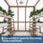 4x6 ft Wooden Walk-In Greenhouse with Cedar Frame, Polycarbonate Panels, and Adjustable Roof Vent