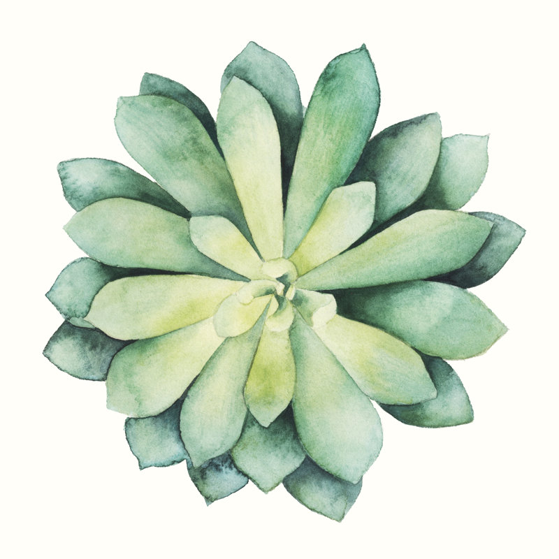 Tropical Plant VI by Grace Popp - Wrapped Canvas Print, 30cm H x 30cm W