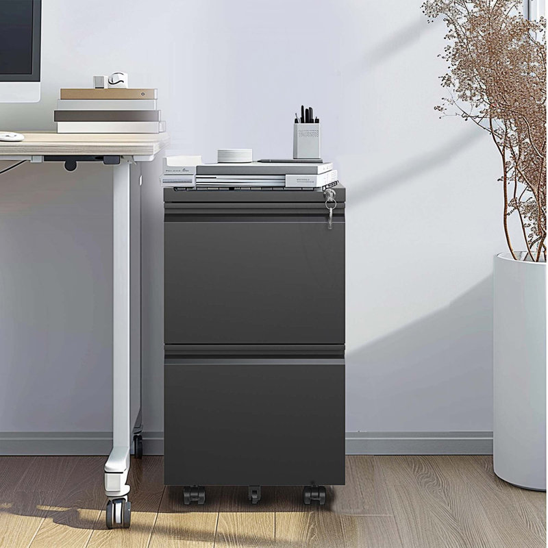 2 Drawer Metal Mobile File Cabinet, Rolling File Cabinet With Lock, Living Room Storage Cabinet, Black