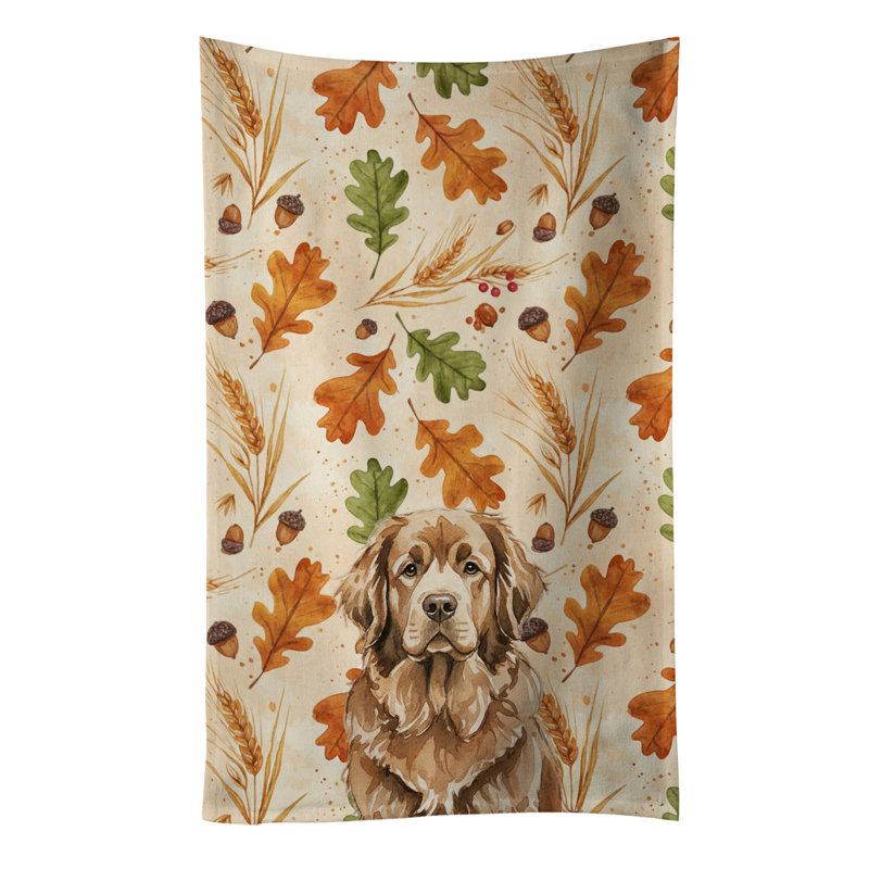 Torchon brun brun Terre-Neuve Heirloom, Terre-neuve brun