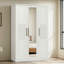 Darry 3 Door Wardrobe with Mirror-119157720