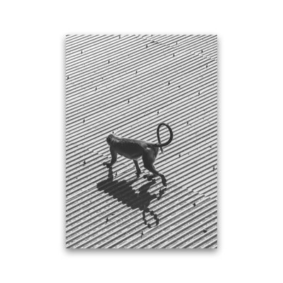 Monkey Buisness 1 Piece Wall Art