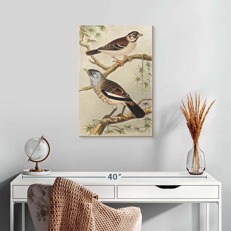 Brampt Twee Vogels Op Takken, H 24 po x l 16 po