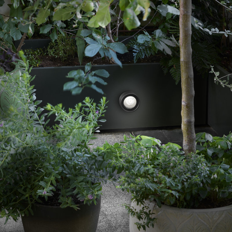 Berlin 1 - Light Outdoor Sconce, Matte Black