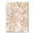 Toile tendue