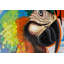 Exotic Cover Hand Painted Acrylic Painting