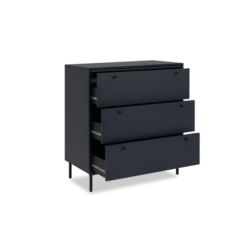 Aydren Modern Storage Unit Accent Chest