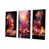 Wrapped Canvas