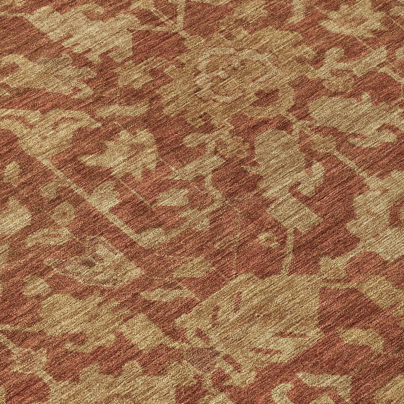Machine Washable Indoor/Outdoor Chantille ACN2358 Traditional Rug, Rectangle 9' x 12'