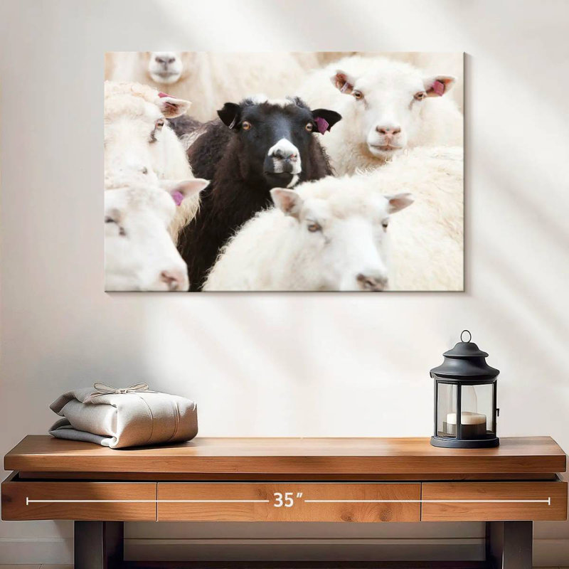Brampt Standout Black Sheep, 16" H x 24" W