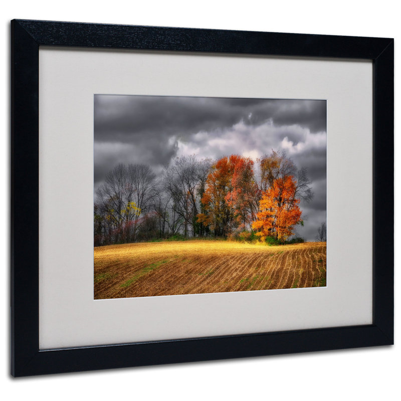 "field" par lois bryan, impression encadrée Halke, Noir, H 16 po x l 20 po x P 0,5 po