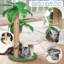Arbre à chat H 27,5 po Daviontae