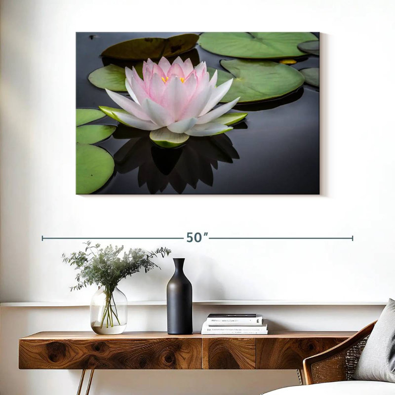 Lotus blanc rosé Harnek, H 26 po x l 39 po
