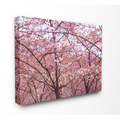 " Pink Sky Cherry Blossom Forest Photography " by Frances Stpehnie