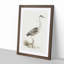Grey Heron by Von Wright - Picture Frame Painting Print-55736264-55736266
