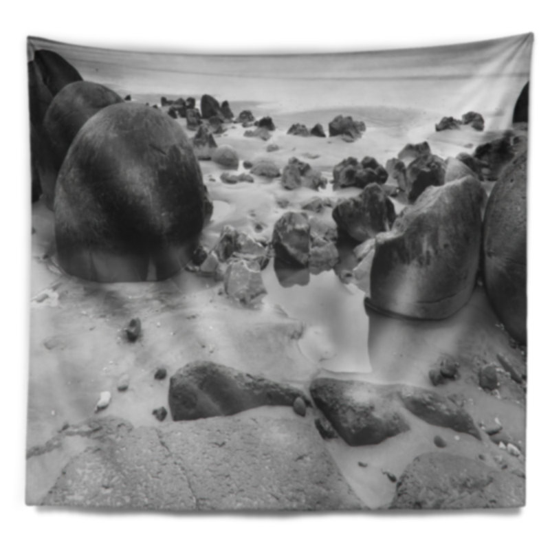 Tapisserie blanc noir n moeraki roche mer, H 32 po x l 39 po
