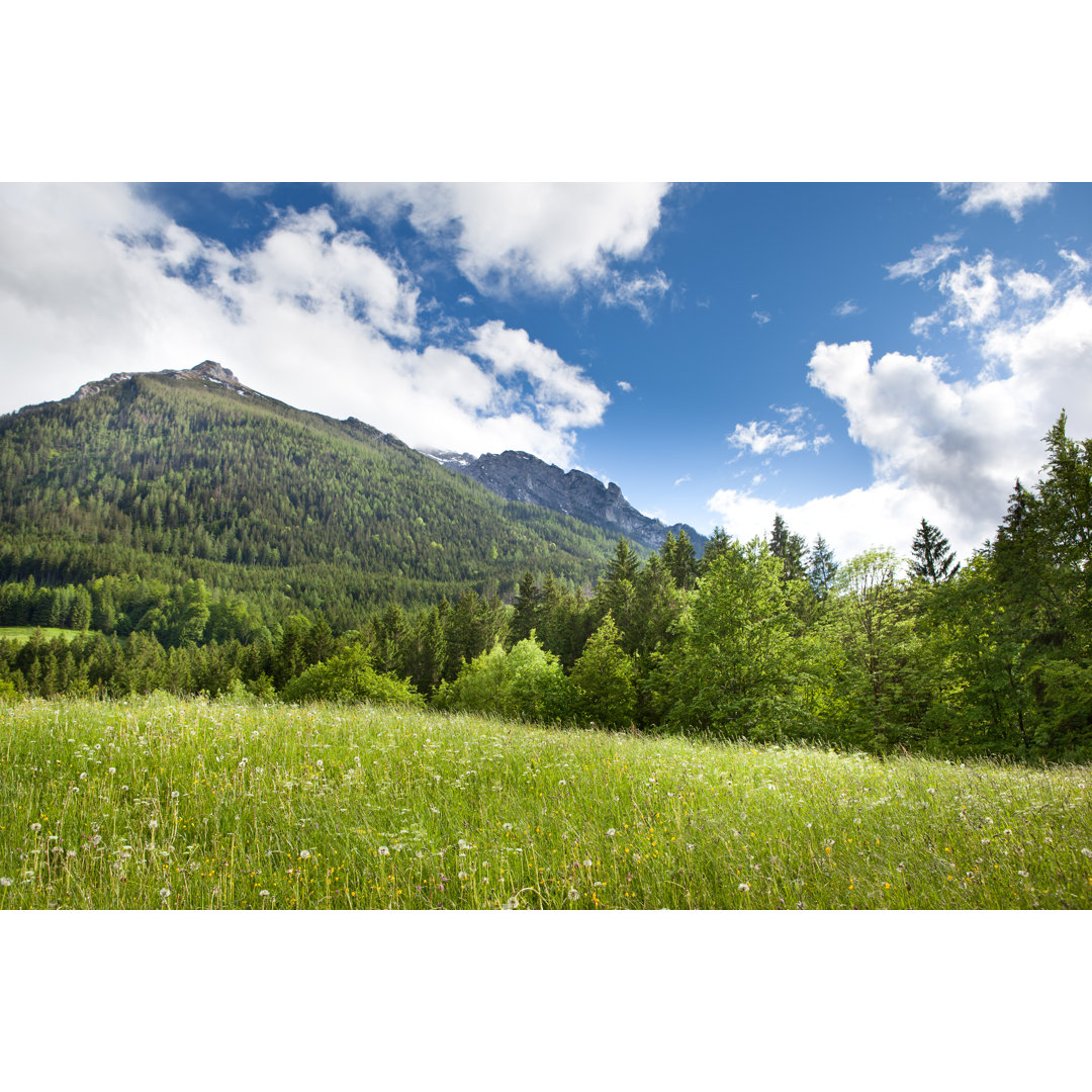 Green Field In The Mountains von Djgunner - Leinwandbild