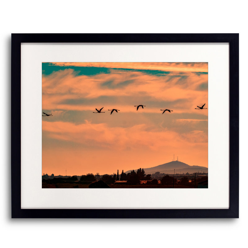 Flamingos Flying At Sunset Print by Tom Kostes, Black Framed Paper, 24" H x 30" W