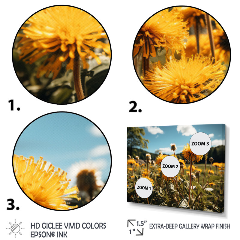 Mountain Dandelion Field II - Floral Wall Decor, Toile tendue, H 12 po x l 20 po x P 1 po