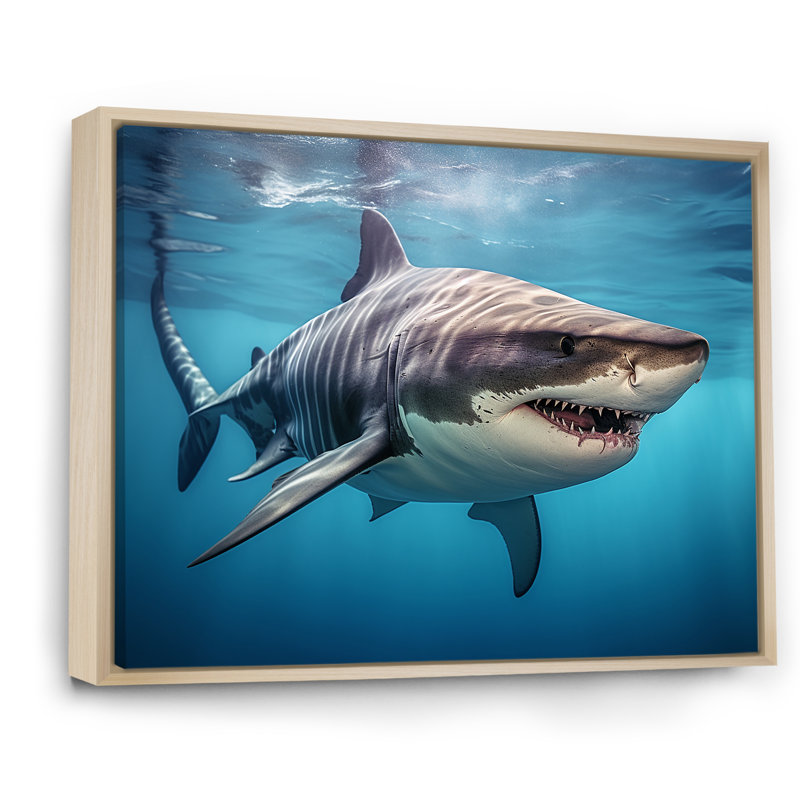 Tiger Shark Territory III - Shark Framed Wall Art, Natural Floater Framed, 16" H x 32" W x 1" D