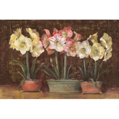 «Amaryllis on Brown» par Carol Rowan - reproduction d'art sur toile tendue