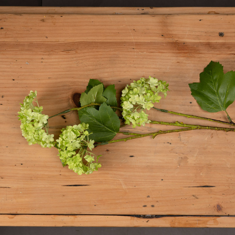 Viburnum Spray Flower