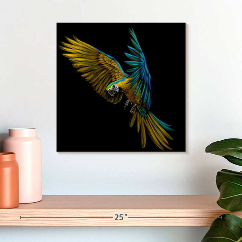 Crowle Wild Macaw, 16" H x 16" W