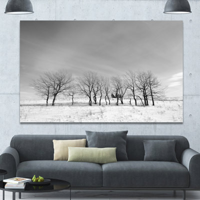 " Black And White Trees In Winter "