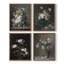 Impression encadrée vintage LXXX - ensemble de 4-736565348-736565351
