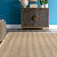Tapis beige Elmirasol-1615142384