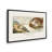 The Creation of Adam by Michelangelo Canvas Print in a Frame-533216709-533216704