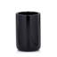 Domus Black Gloss Tumbler