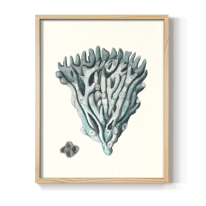 Antique encadré corail X encadré - bois massif, H 30 po x l 24 po