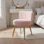 Ackerly Metal Accent Stool-743456954