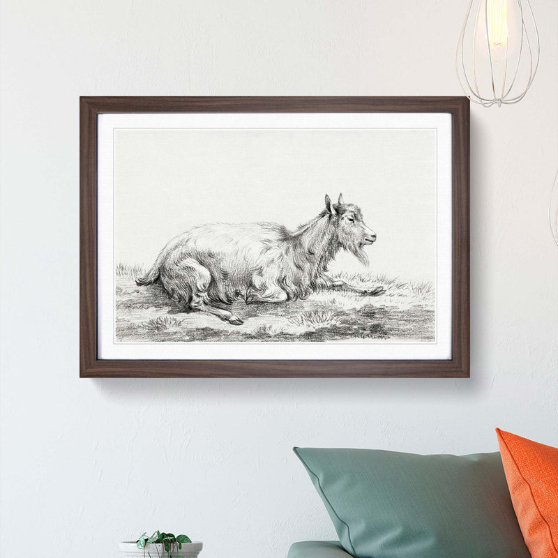 Resting Goat by Jean Bernard - Picture Frame Drawing Print, 36cm H x 48cm W x 2cm D, Walnut Framed