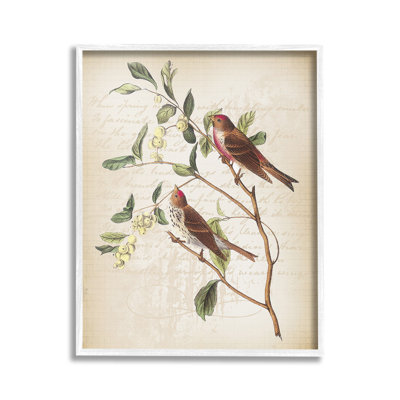 Birds with Vintage Cursive Framed Giclee Art by Lula Bijoux & co.