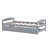 Platform Bed With Trundle-2036471668