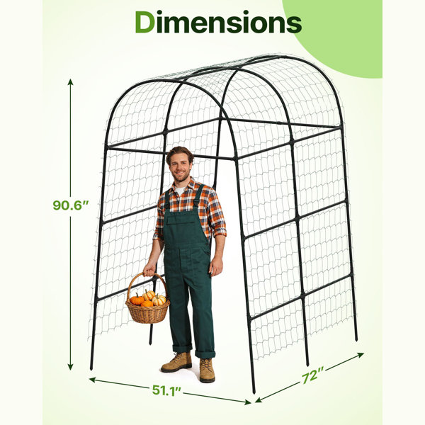 Red Barrel Studio Garden Arch Trellis For Climbing Plants, 90.6 In ...