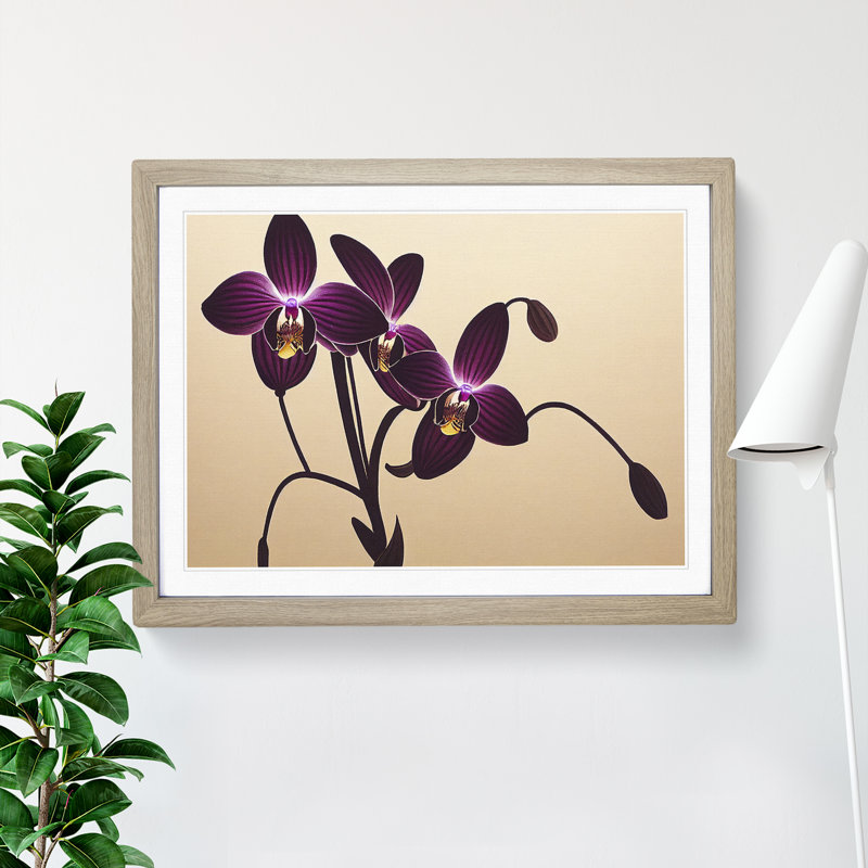 Striking Orchid Flowers - Single Picture Frame Print, 25cm H x 34cm W x 2cm D, Oak