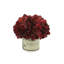 Spring Additions Burgundy Hydrangea in French Label Pot