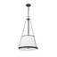 Luminaire suspendu 5 pouces Michiel de 18 po Michiel-1528556096