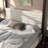 Casondra Upholstered Metal Canopy Bed