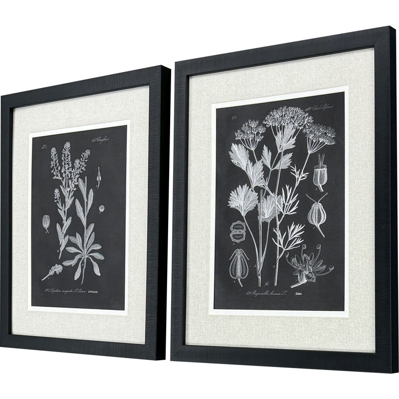 Mono Botanicals II S/2 Print by Libby Langdon Paragon