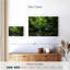 Alvord Whimsical Falls-111834582